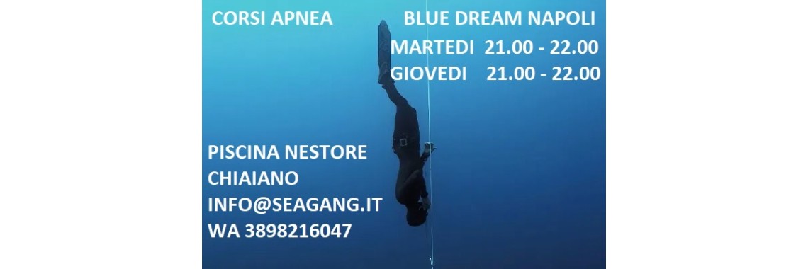 corsi