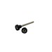 ASSIALE CON COPPIA DI FUNGHETTI IN DERLIN
