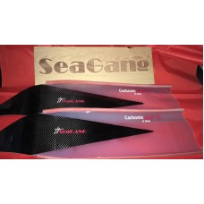 PALE SPETTRO VTR CARBON  SEAGANG